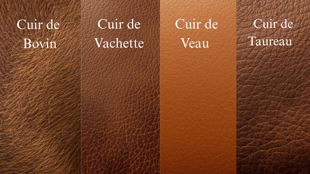 W_Différents cuir Les différents types de cuir. Cuir pleine fleur.