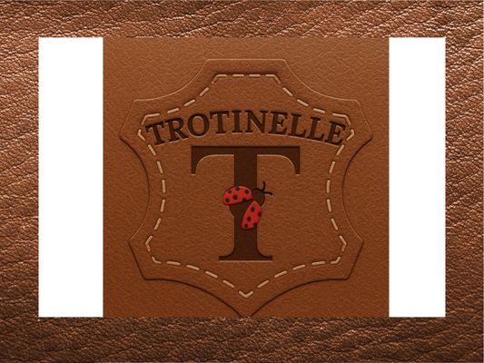 Nos engagements : Pourquoi choisir Trotinelle. Cuir véritable.
